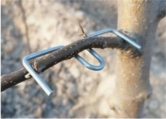 13 सेमी लंबाई वाले गैल्वनाइज्ड पेड़ की शाखा दबाने वाले उपकरण फ्यूरिट पेड़ का उपयोग