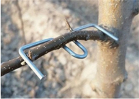 13 सेमी लंबाई वाले गैल्वनाइज्ड पेड़ की शाखा दबाने वाले उपकरण फ्यूरिट पेड़ का उपयोग