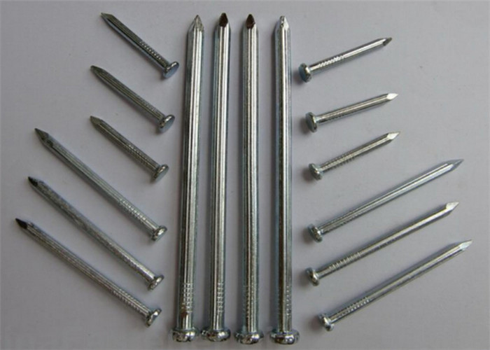 विरोधी जंग धातु के तार नाखून Q195 स्टील आम लोहे की कील फर्नीचर के लिए इस्तेमाल किया